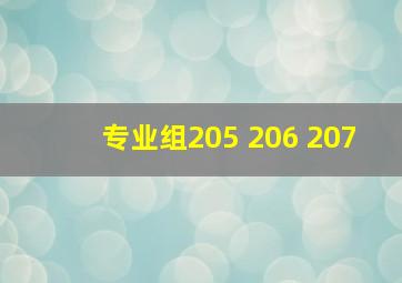 专业组205 206 207